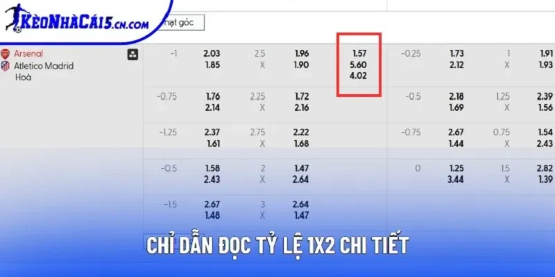 Chỉ dẫn đọc tỷ lệ 1x2 chi tiết Chỉ dẫn đọc tỷ lệ 1x2 chi tiết