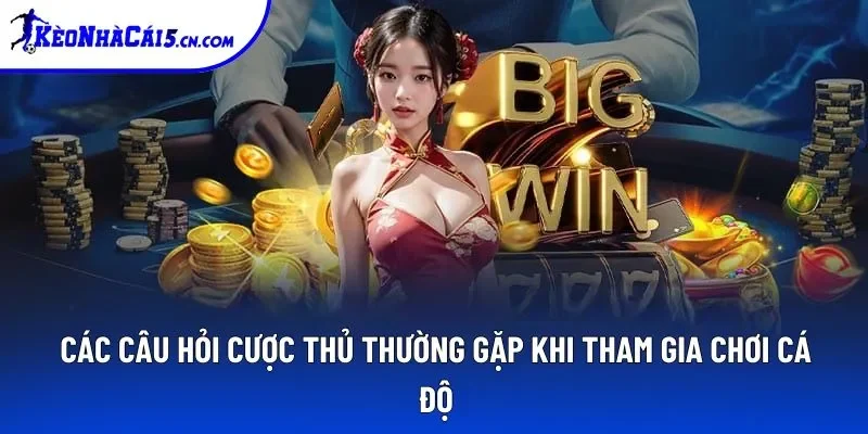 Các câu hỏi cược thủ thường gặp khi tham gia chơi cá độ Các câu hỏi cược thủ thường gặp khi tham gia chơi cá độ