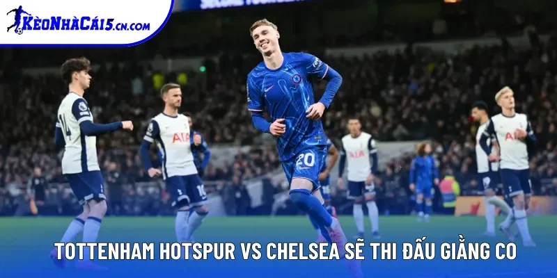 Tottenham Hotspur vs Chelsea sẽ thi đấu giằng co Tottenham Hotspur vs Chelsea sẽ thi đấu giằng co
